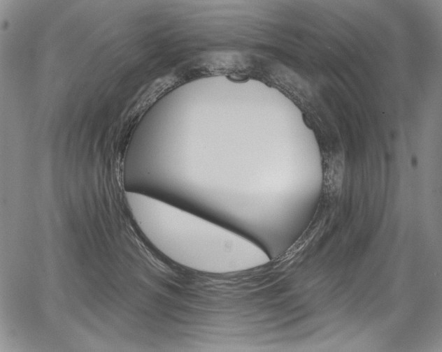 X0000068320430200604211016