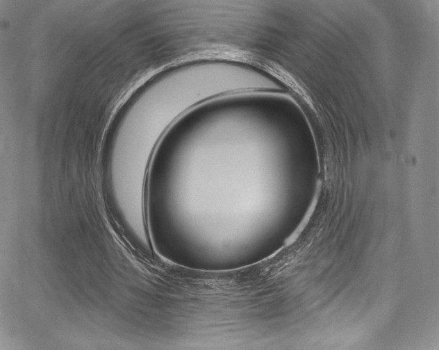 X0000068320436200604211016