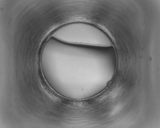 X0000068320439200604211016