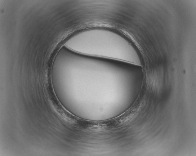 X0000068320447200604211016