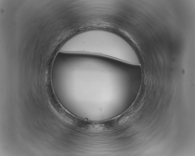 X0000068320451200604211016