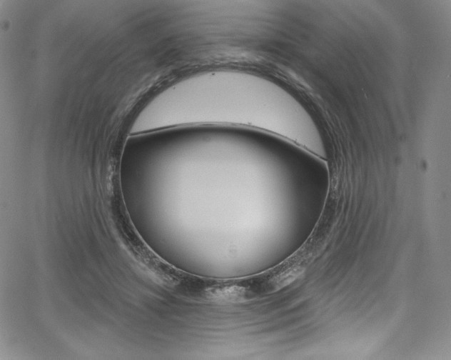 X0000068320452200604211016