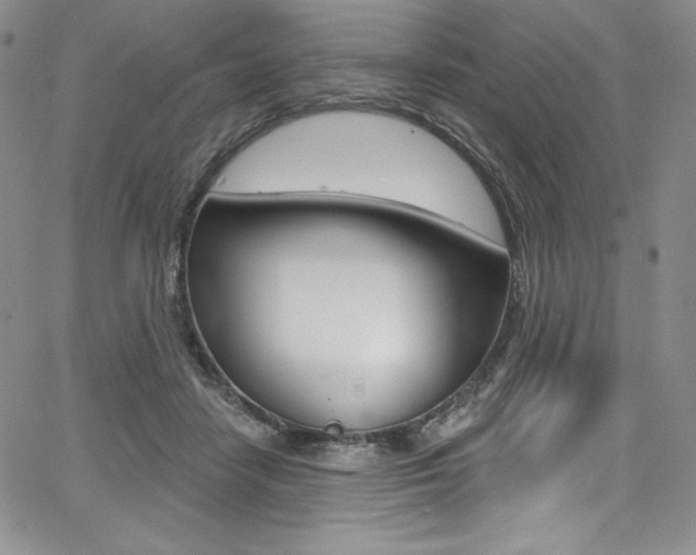 X0000068320458200604211016