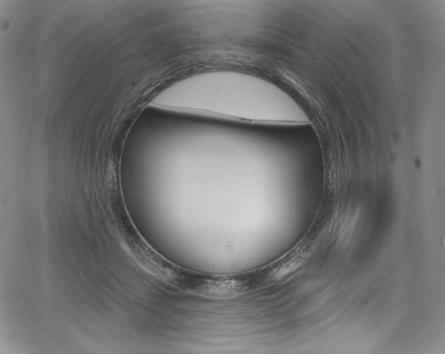 X0000068320459200604211016