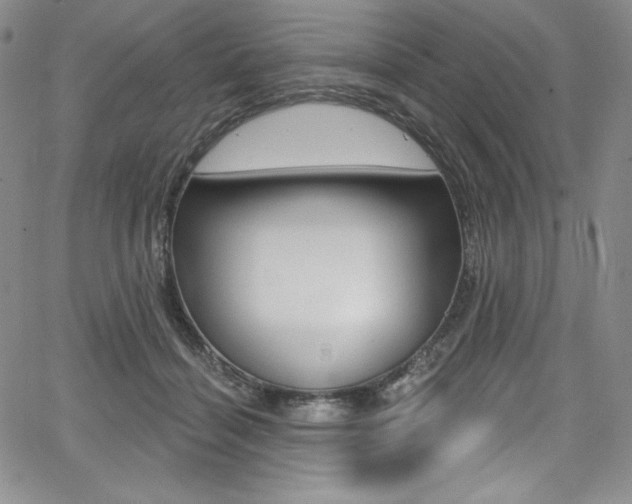 X0000068320460200604211016
