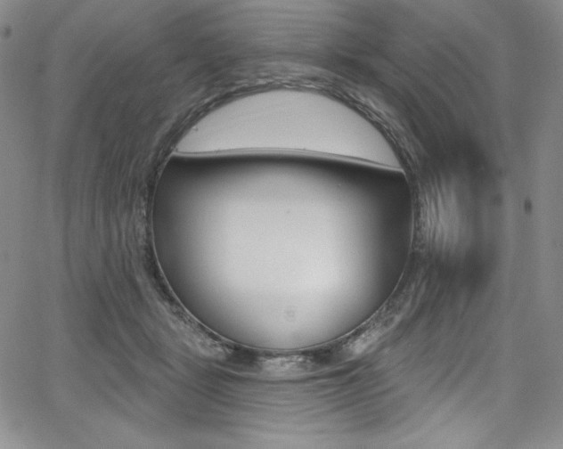 X0000068320461200604211016