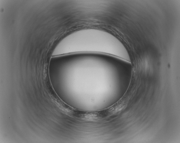 X0000068320462200604211016