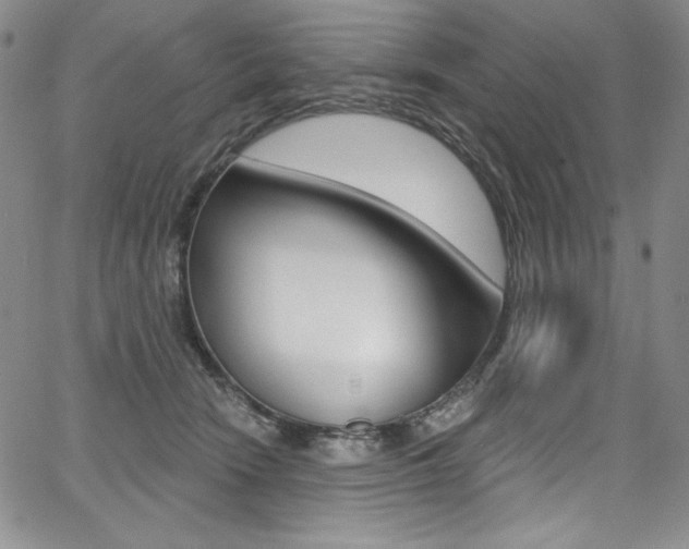 X0000068320466200604211016