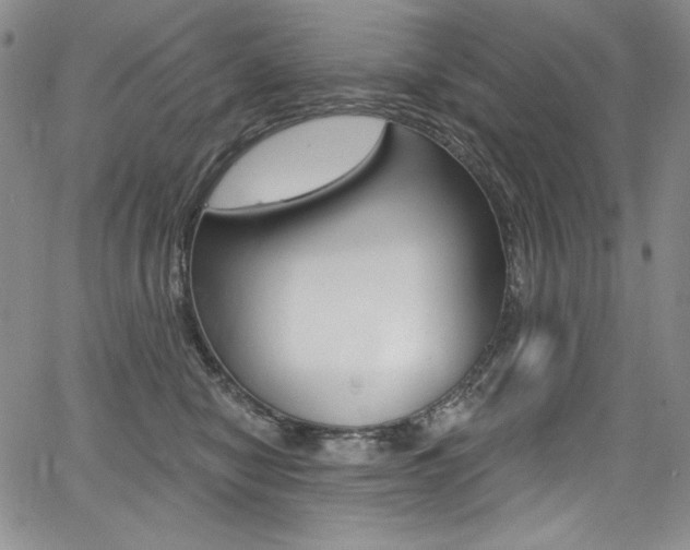 X0000068320470200604211016