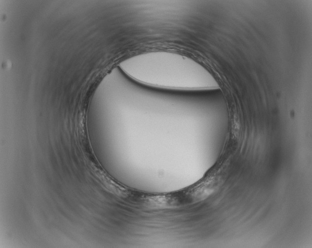 X0000068320473200604211016