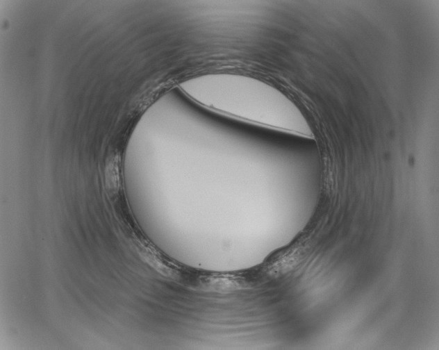 X0000068320475200604211016