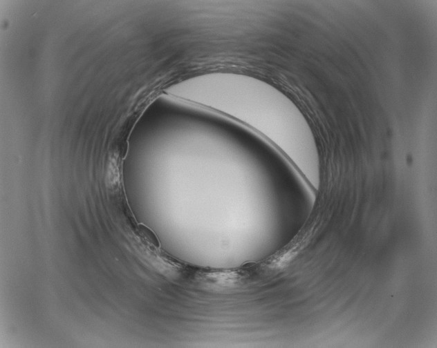 X0000068320478200604211016