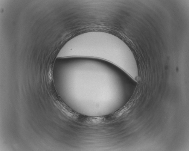 X0000068320479200604211016