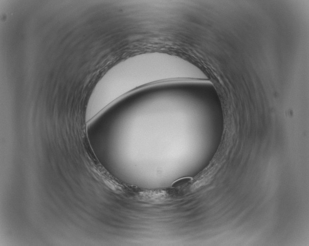 X0000068320480200604211016