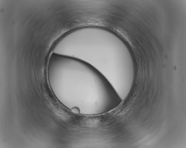 X0000068320491200604211015