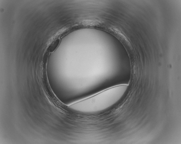 X0000068320492200604211015