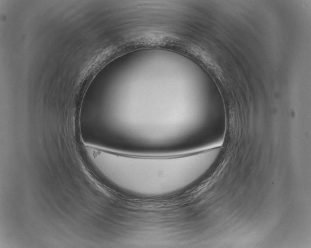 X0000068320493200604211015