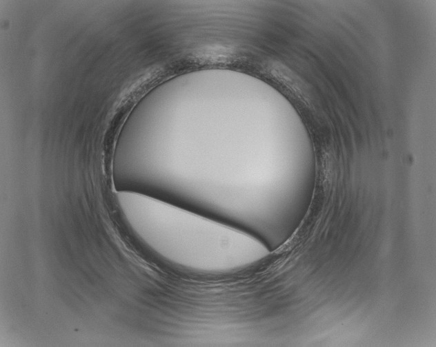 X0000068320494200604211015