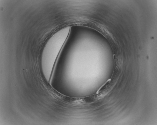 X0000068320505200604211015