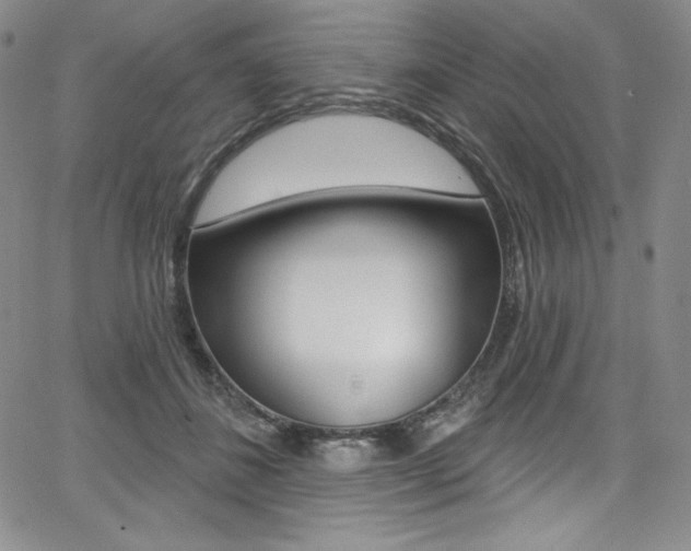 X0000068320508200604211015