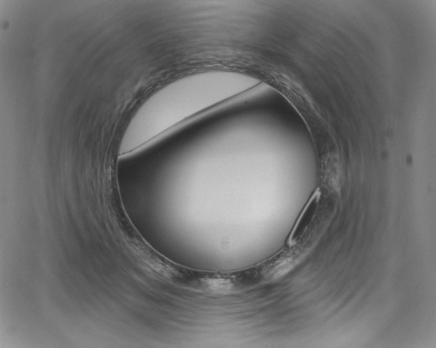 X0000068320509200604211015