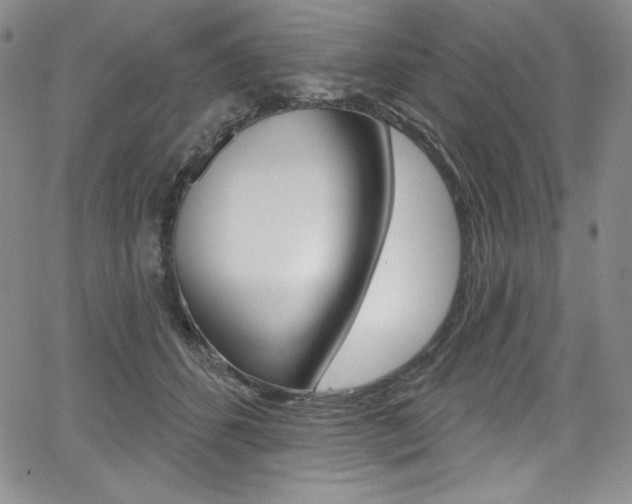 X0000068320512200604211015