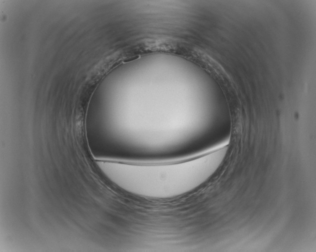X0000068320513200604211015