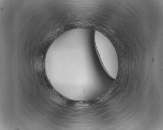 X0000068320515200604211015