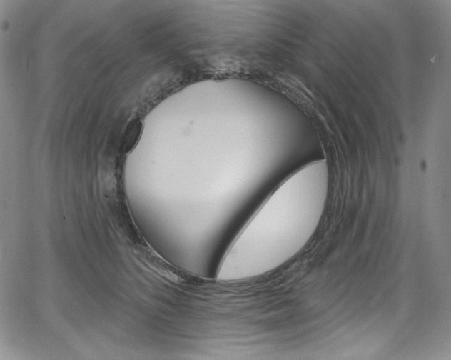 X0000068320516200604211015