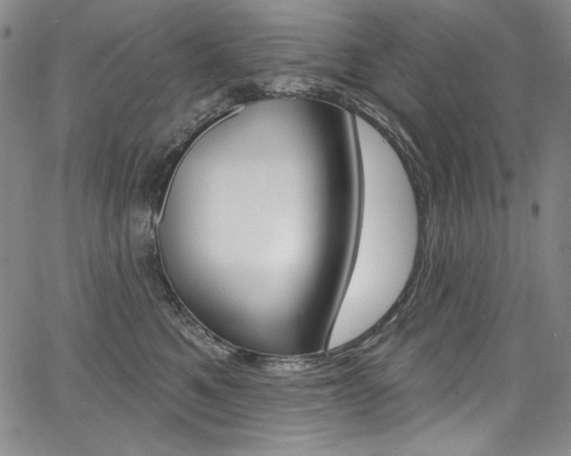 X0000068320521200604211015