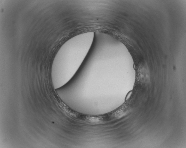X0000068320522200604211015