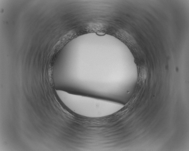 X0000068320526200604211015