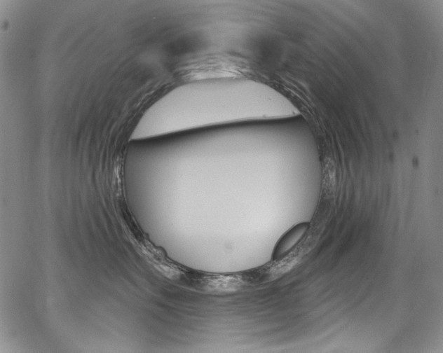 X0000068320527200604211015