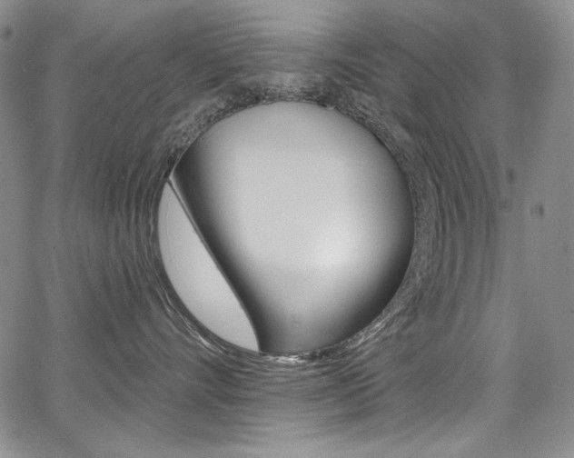 X0000068320528200604211015