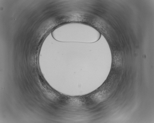 X0000068320534200604211014