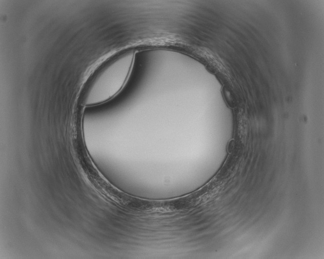 X0000068320536200604211014