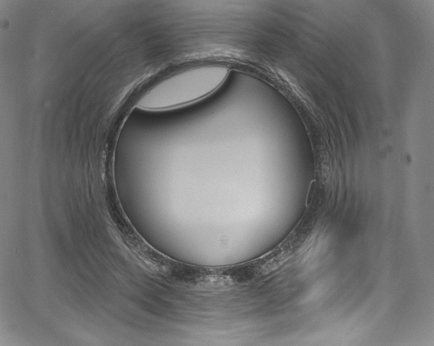 X0000068320543200604211014