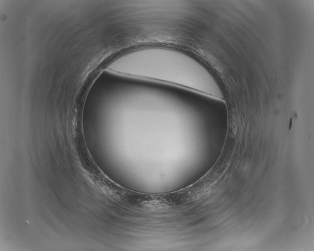 X0000068320544200604211014