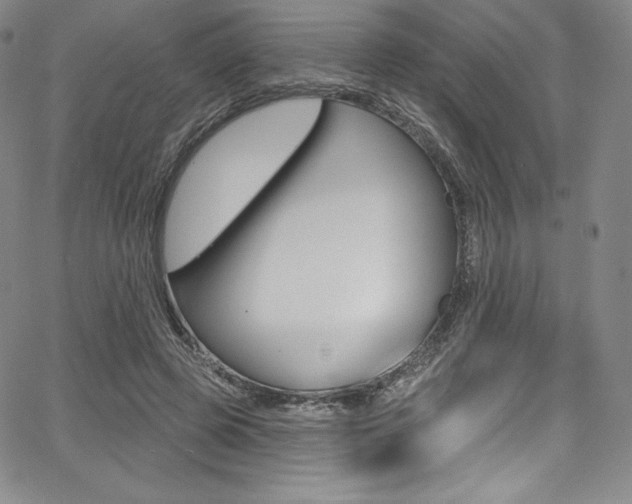 X0000068320545200604211014