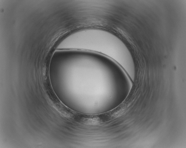 X0000068320548200604211014