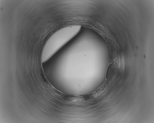 X0000068320555200604211014