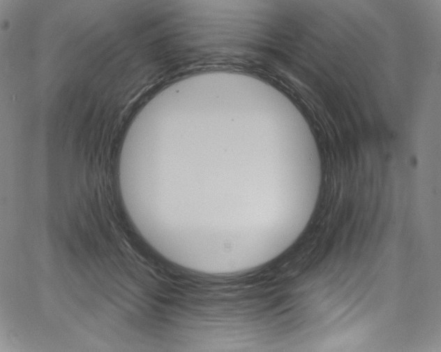 X0000068320556200604211014