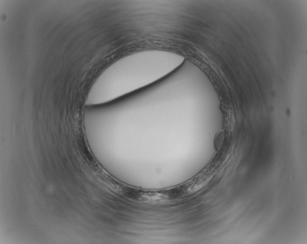 X0000068320557200604211014
