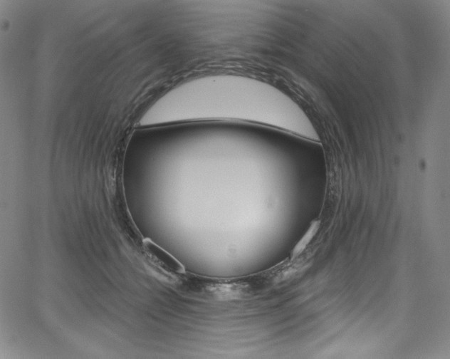 X0000068320558200604211014