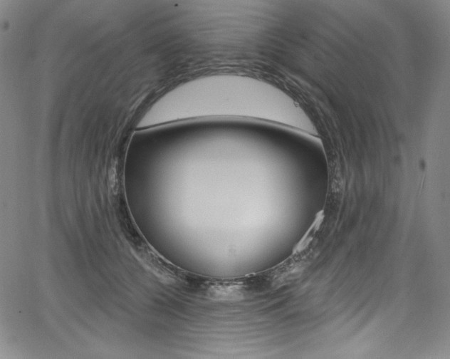 X0000068320560200604211014