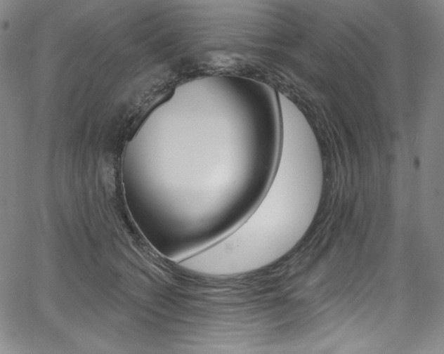 X0000068320562200604211014