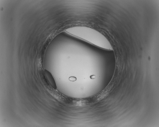 X0000068320564200604211015