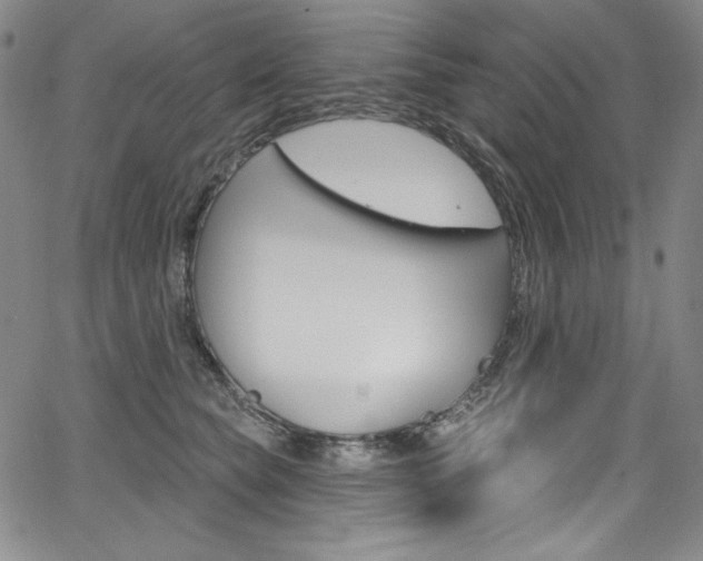 X0000068320565200604211015