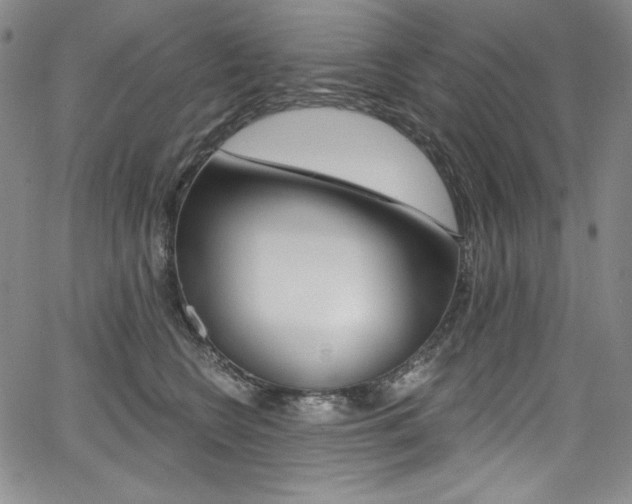 X0000068320566200604211015