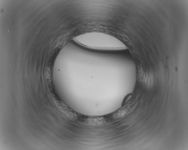 X0000068320571200604211015